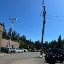 디케이트레이딩 | 밴쿠버 타지생활_5월 4주차