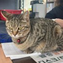 스피드운동화빨래터외도점 | 거제 가 볼 만한 곳X여행 코스, 거제 바람의언덕 제트보트 탑승 후기