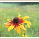 복예가든 이미지