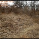 장탄1리 마을회관 이미지