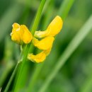 미나리슈퍼 이미지