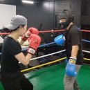 정일복싱 이미지