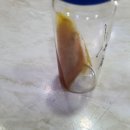 늘사랑 양한방 동물병원 이미지