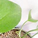 무럭무럭(주) 이미지