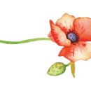 스타벅스부천신중동역점 이미지