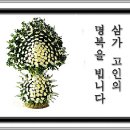 윤*구 이미지