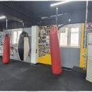 대한권투체육관 이미지