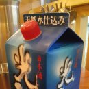 미니스톱일곡제일점 이미지