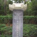 나야 카카오 검색결과