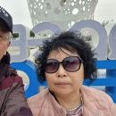 경북 영덕군~청송군~칠곡군 명소 관광/2022.3.25.금 이미지