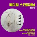 결아뷰티 | 전주스킨플래닝 잘하는 결아뷰티에 다녀왔어요!
