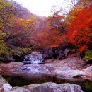 지리산친구들 이미지