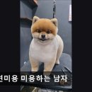 미용하는 남자 네이버블로그