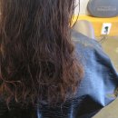 헤어(HAIR)1380
