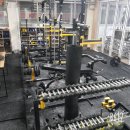 BD 주짓수 이미지