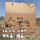 왕매실마을 | [당진 백석올미마을] 할매들의 반란, 영부인도 다녀간 매실한과 당진 기념품 성지