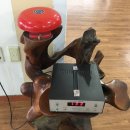 유명구범진권투 체육관 이미지