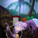 점보빌리지 이미지