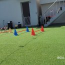 멍린이 회관 이미지