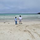 제주옥상달빛 이미지