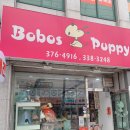 보보스퍼피