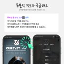 큐어벳 이미지