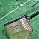 FM | 부모님파크골프채 선물로 딱! 라온아띠 필드마스터 FM-4 사용 후기