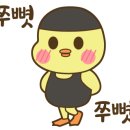 레노마수영복스타필드