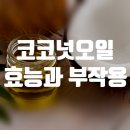 Re:코코넛오일 효능 및 부작용 제대로 알고 활용하자! 이미지