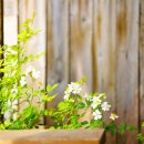 빅보스목장 이미지