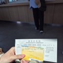 다올펜션 - 횡성군 고원로425번길 112 | 제주도 우도 서빈백사, 하하호호, 소머리오름, 다올펜션 다녀온 후기