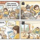 애니멀바이오케어 이미지