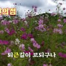 ﻿편의점 / 이찬원 노래 - 산조대금 연주 이미지