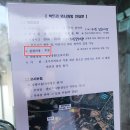 빅트리