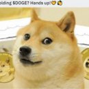 밈