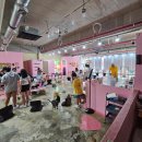 고양이살롱앤카페 | 양산) 아이랑 실내 동물 체험 [고양이살롱앤카페]