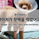 쉼터카센타