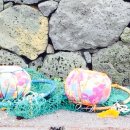 별방으로의 산책 이미지