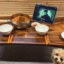 탐스럽개 이미지