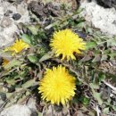 우리농원 이미지