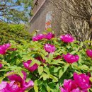 군자초교 이미지