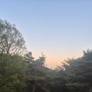 작은숲 | [성주펜션/독채] 숲속작은집 방문 후기 🏡✨️✨️