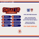 오렌지스웻 이미지