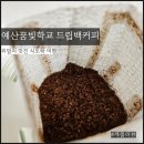 예산꿈빛학교 | 예산꿈빛학교 드립백 커피 향이 좋은 커피 추천