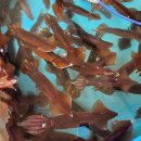 지에스(GS)25속초시청점 이미지