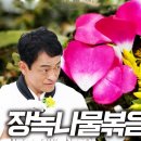 산속 보물 더덕 &amp; 나물계의 명품, 장녹나물볶음 레시피 이미지