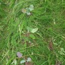 김포아라농장 이미지