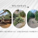 서문농장 이미지