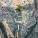 충대농약사 이미지