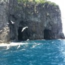 독도 카 서비스 이미지